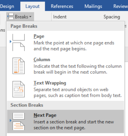 Picture: Where to find Section Break in Word