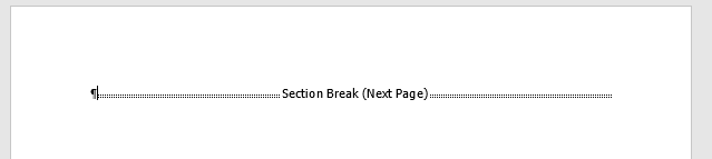 Picture: How the Section Break looks like in the document while the formatting symbol is active