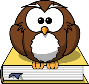 owl-297413_640